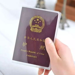 定了！海口人可坐高鐵直達(dá)泰國(guó)，往返票價(jià)竟比飛機(jī)便宜一半